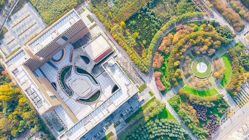 揭秘深圳电子科技公司排名背后的秘密