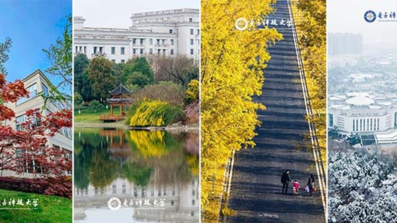 三极管开关电路设计：入门必看的关键步骤与要点**