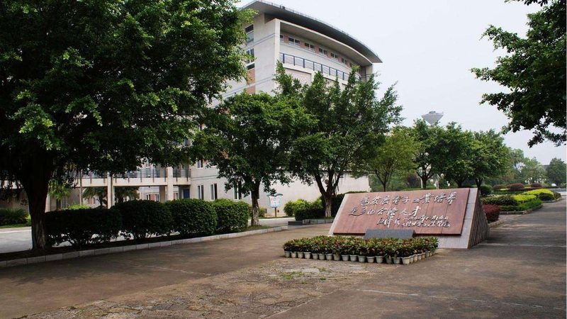 远程调试与本地调试：差异解析与应用场景**